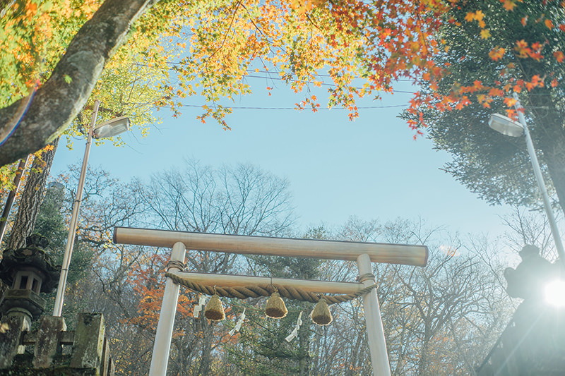 石段を登りきった先の景色