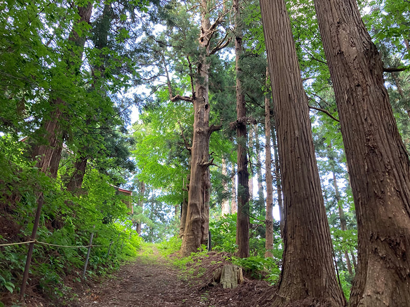 真清田神社