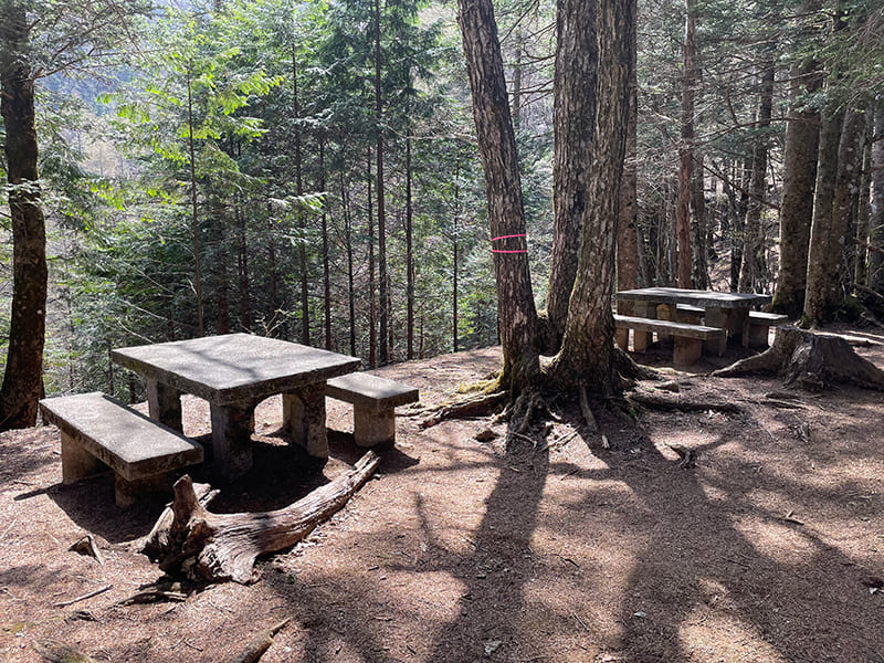 三ツ峠登山道