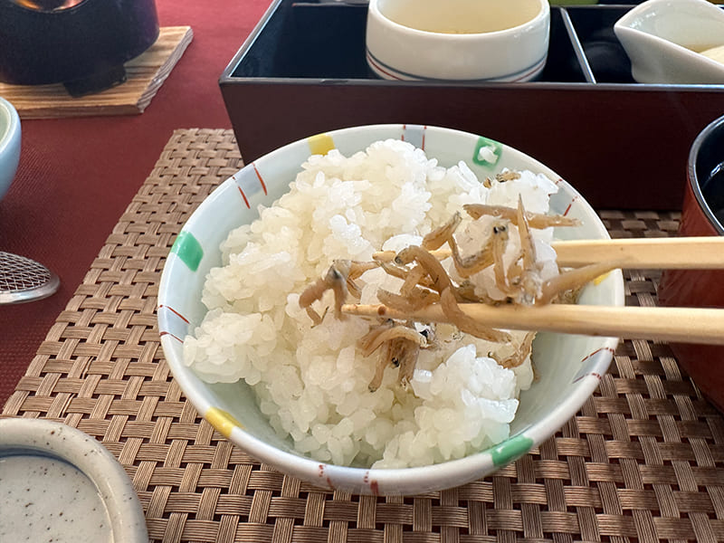コシヒカリ　あさか舞