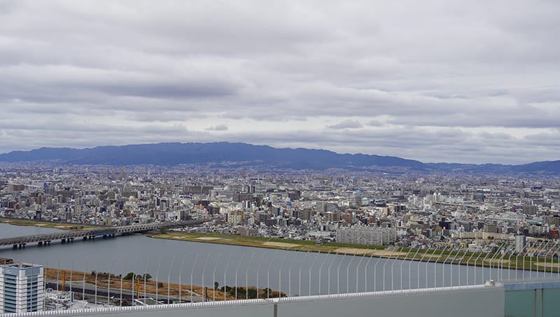 スカイ・ウォークからの景色