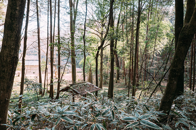 山林