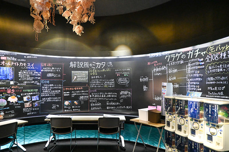 解説展示