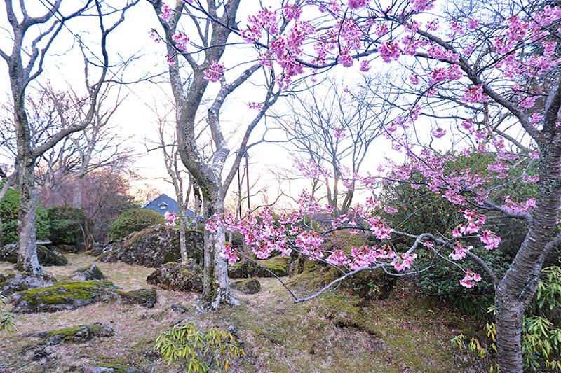 箱根強羅公園