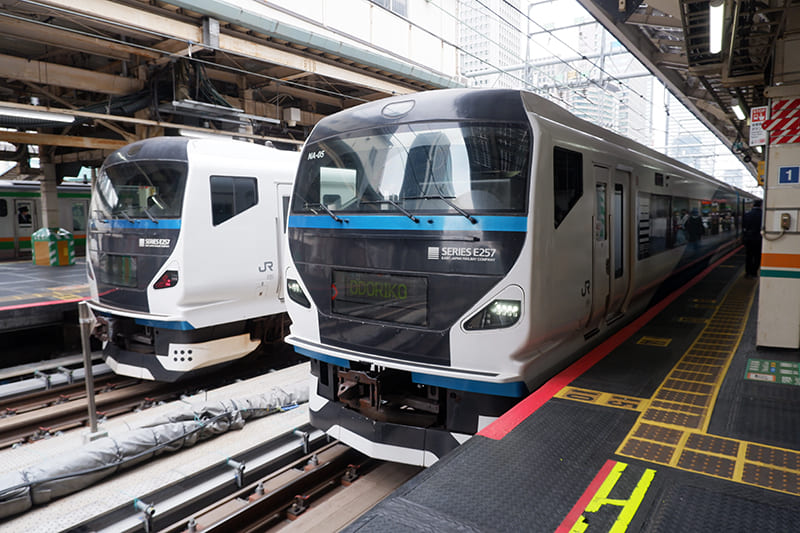 東京駅から特急「踊り子」で小田原へ