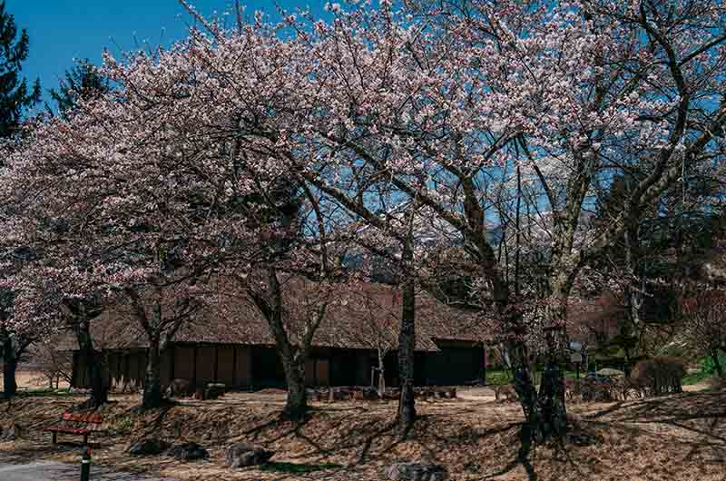 亀ヶ城公園