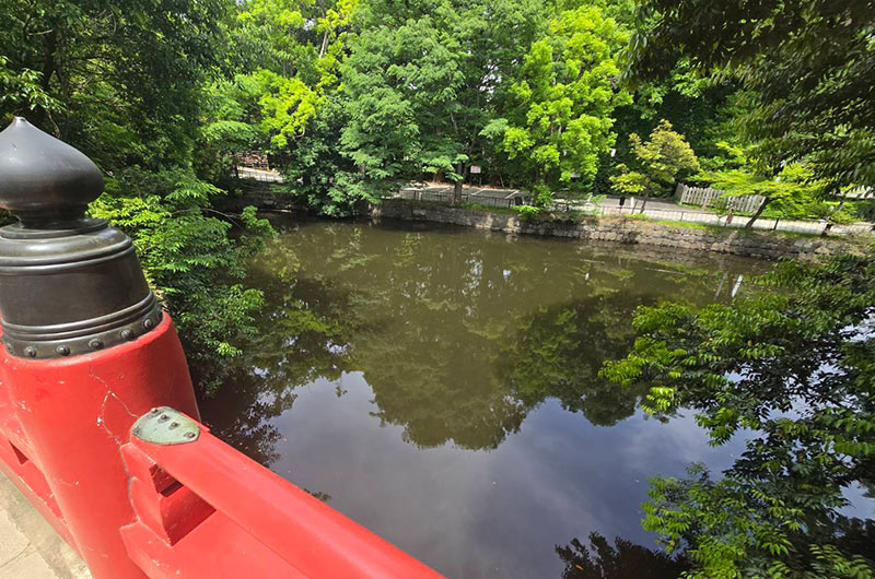 武蔵一宮　氷川神社の橋から見える景色