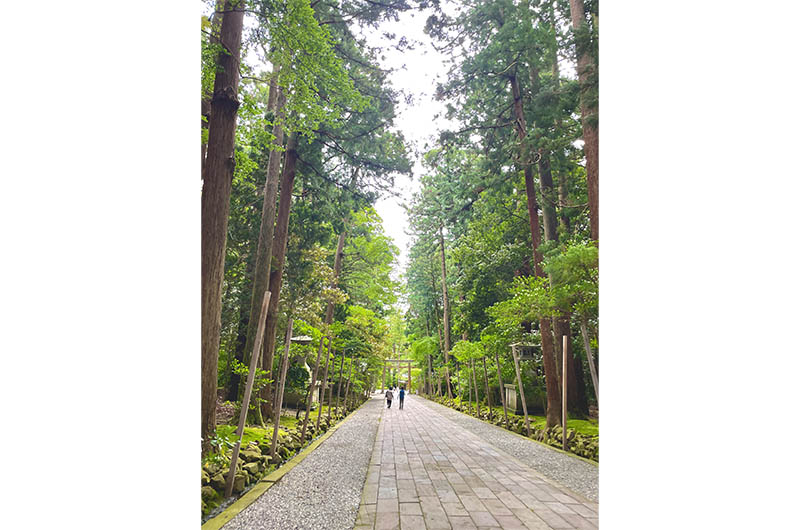 彌彦神社