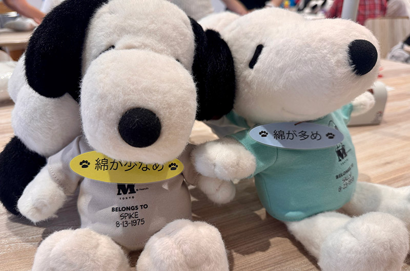 ぬいぐるみの見本