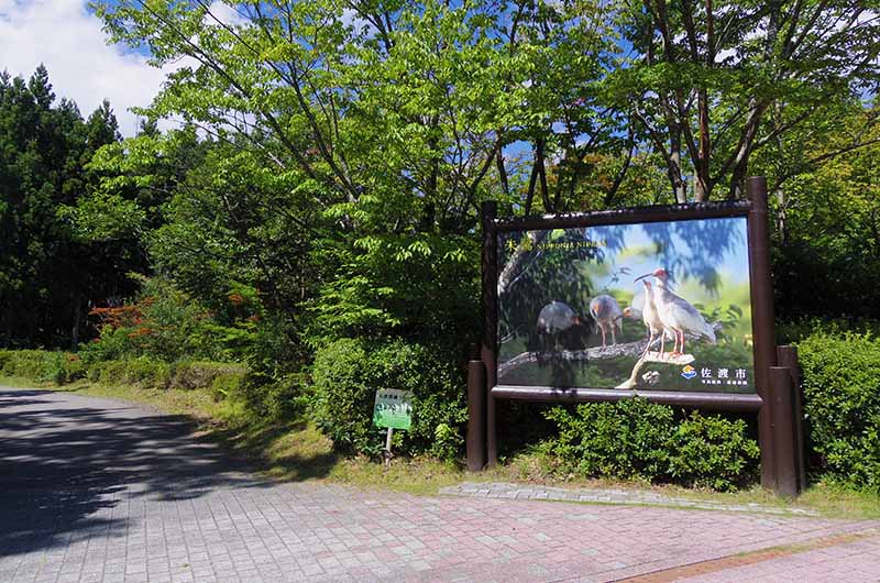 トキの森公園