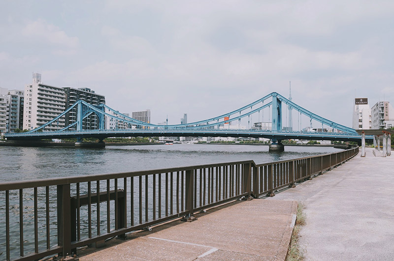 隅田川テラスから見えるスカイツリー