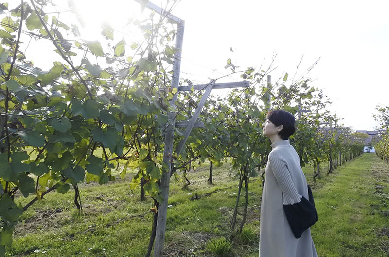 自社農園のブドウ