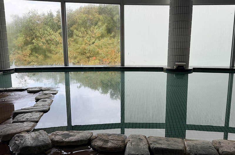 亀の井ホテル 一関　内湯からの眺め