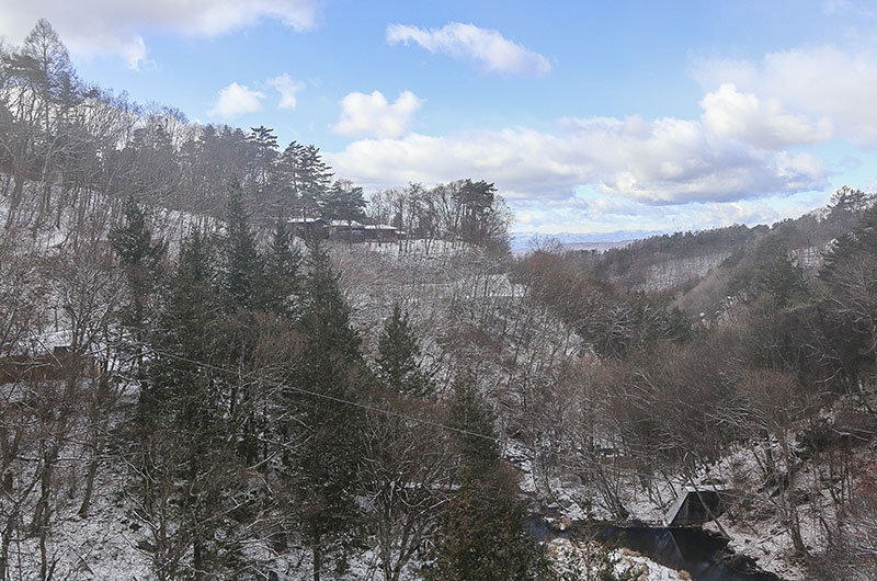 客室からの眺望