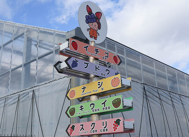 フルーツの表示