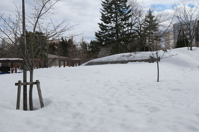 青い森公園に残る雪