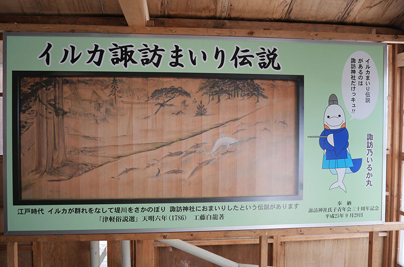 諏訪乃いるか丸