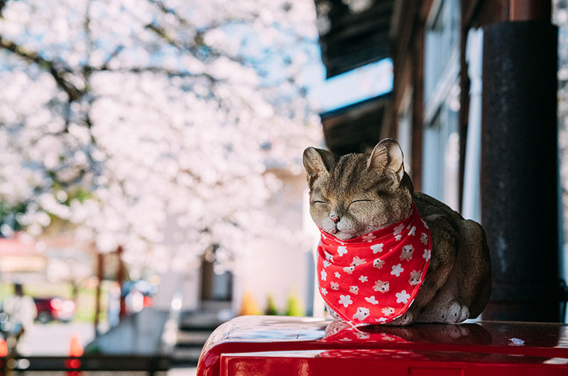 芦ノ牧温泉駅　猫の駅長の置物