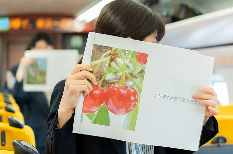 山形の旬の見どころ紹介