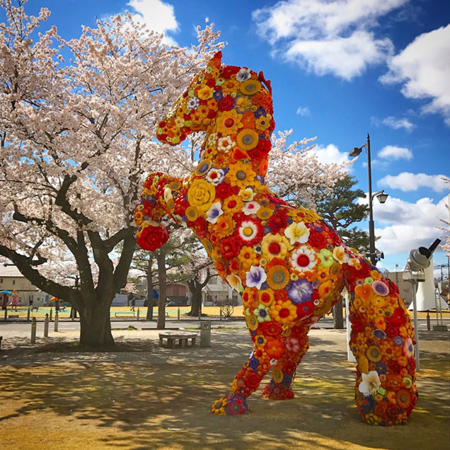 十和田市官庁街通りの桜