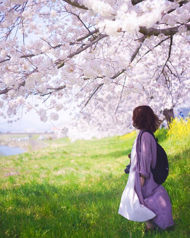 一目千本桜