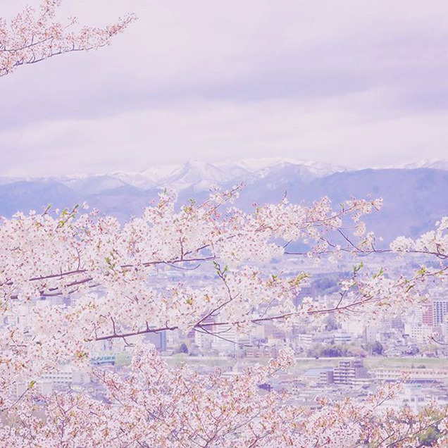 花見山公園