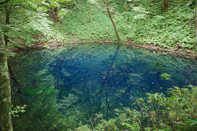 白神山地　青池