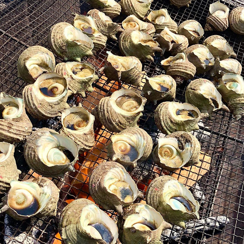 稲取漁港直売所「こらっしぇ」　サザエ（静岡）