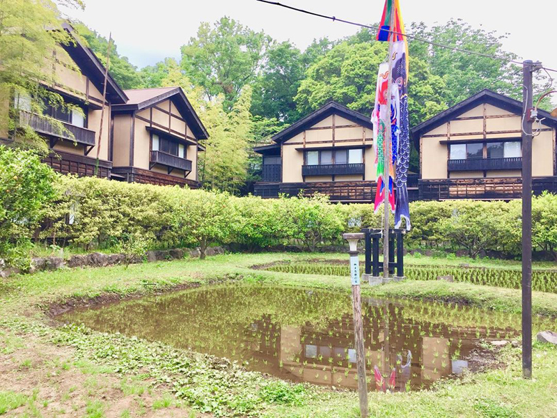 kiyoe様