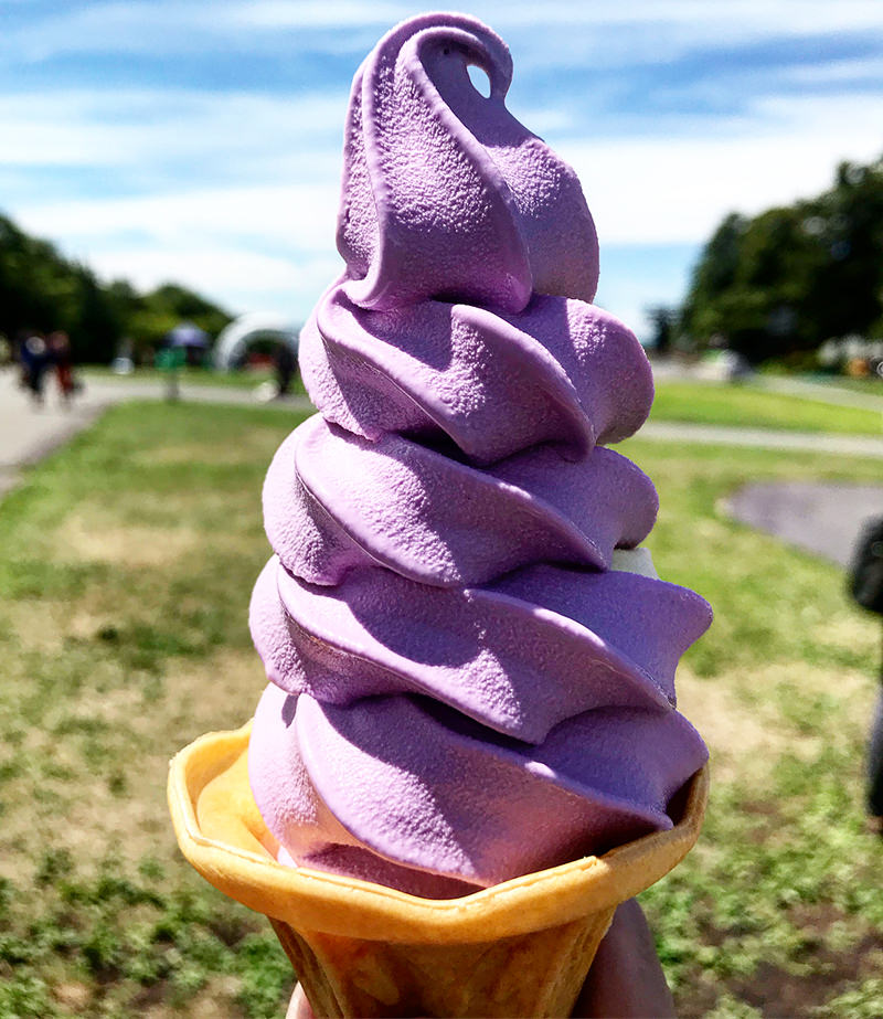 たんばらラベンダーパーク　ラベンダーソフト