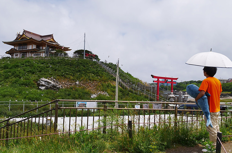 蕪島