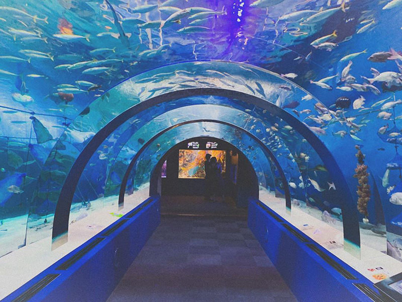 浅虫水族館