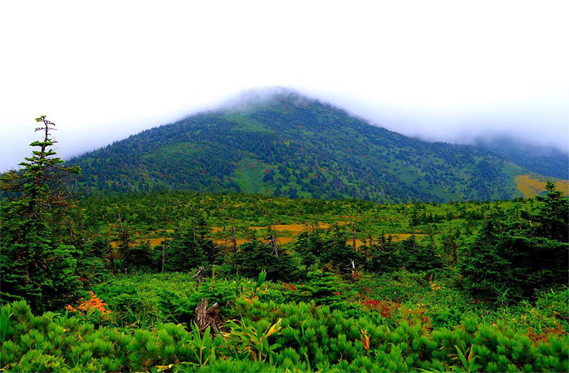 八甲田山