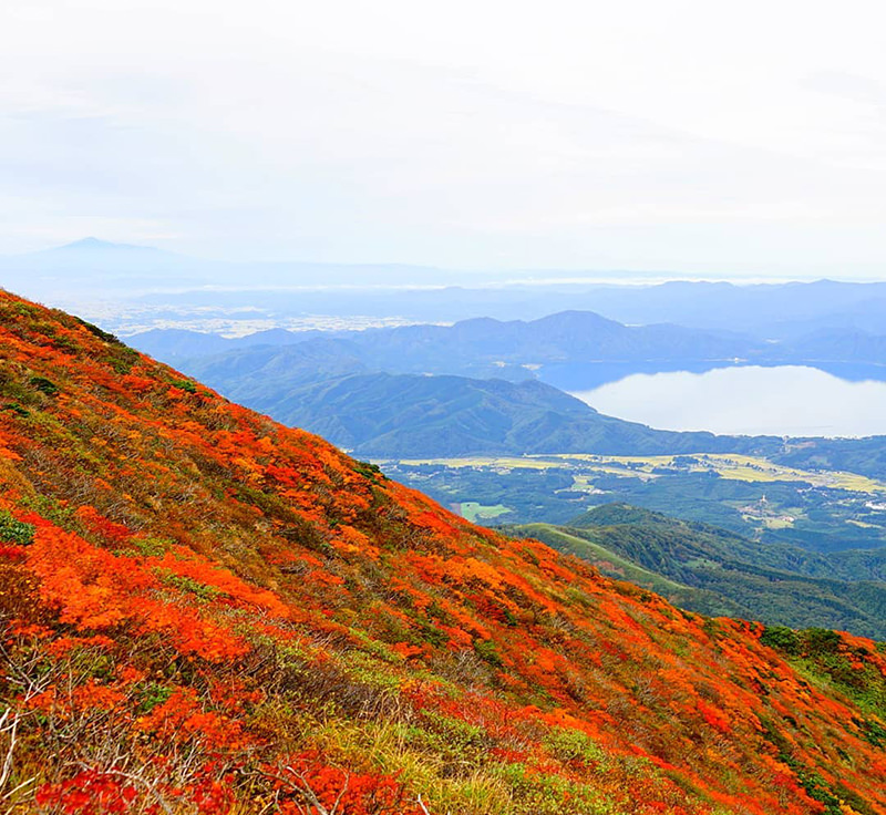 秋田駒ヶ岳の紅葉景色