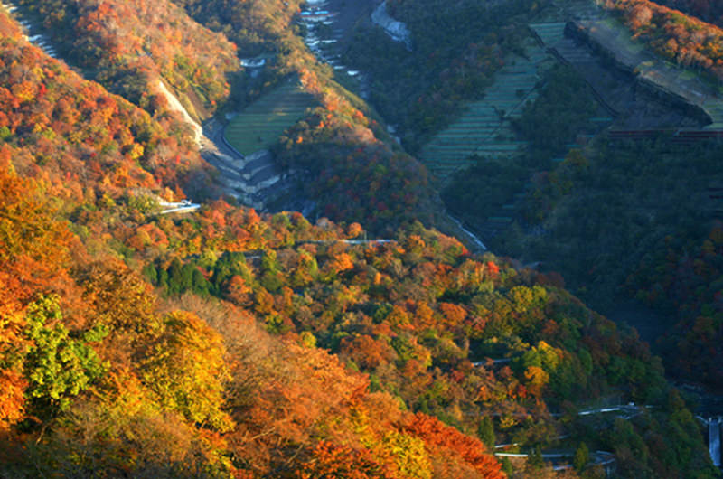 日光いろは坂　紅葉景色