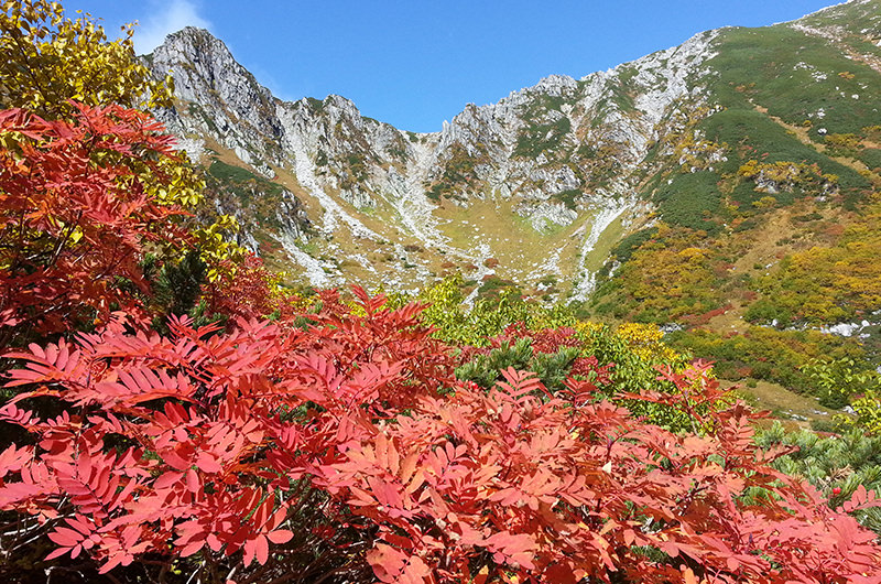 千畳敷カールと色づいた紅葉
