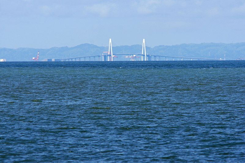 新湊大橋の実景