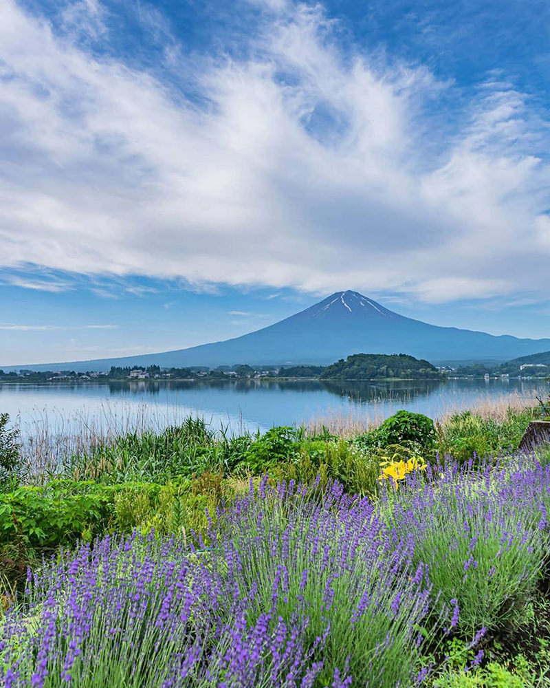 河口湖からの富士山の景色