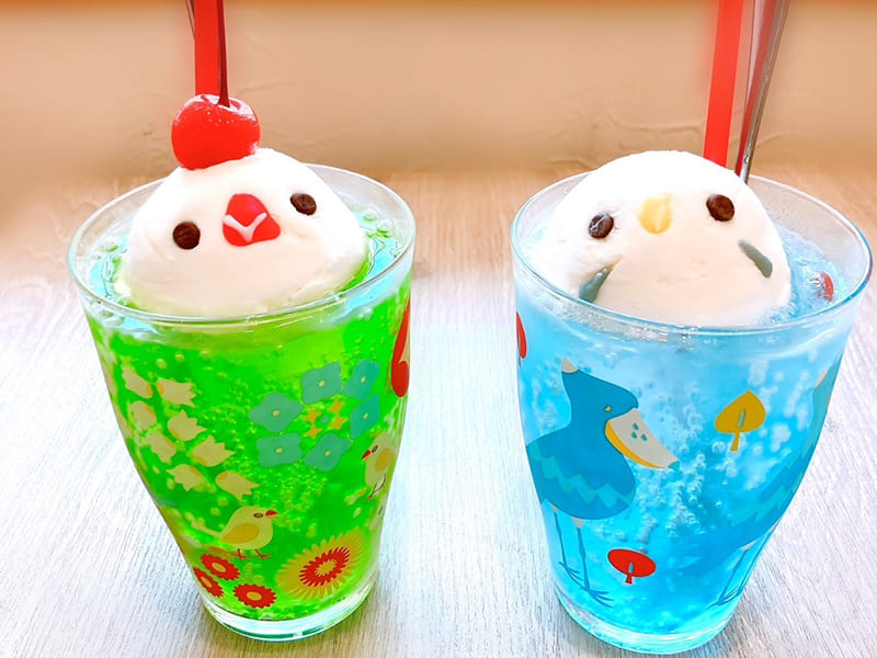 ことりカフェ上野本店のドリンク（写真提供：株式会社ことりカフェ）。