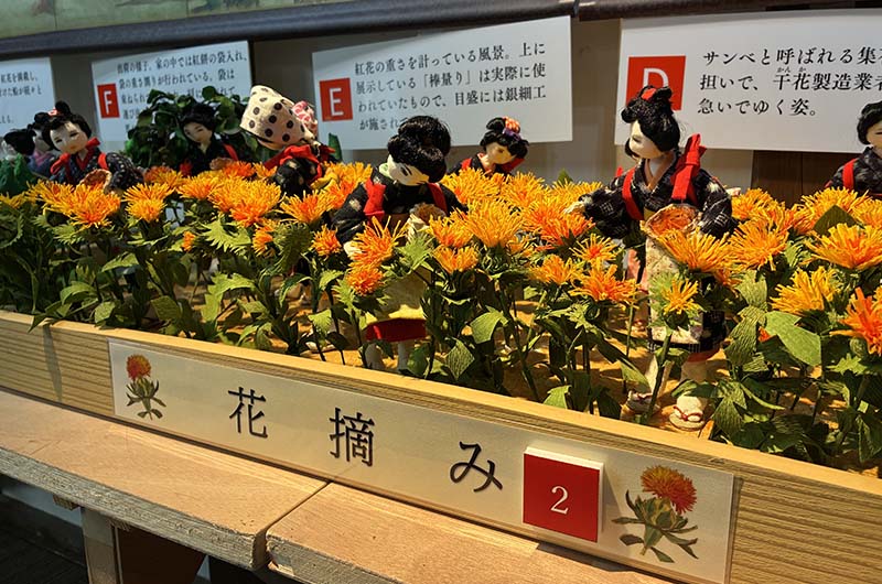 紅花