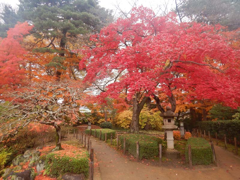 もみじ公園の紅葉（写真提供：山形市公園緑地課）。