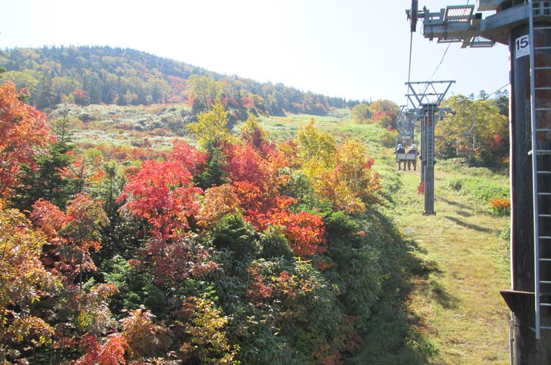 天元台高原の紅葉（写真提供：株式会社天元台）。