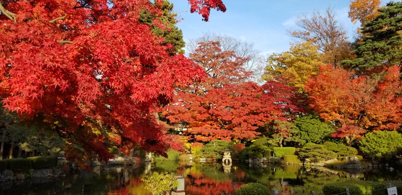 もみじ公園の紅葉（写真提供：山形市公園緑地課）。