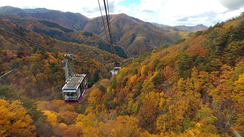 天元台高原の紅葉（写真提供：株式会社天元台）。