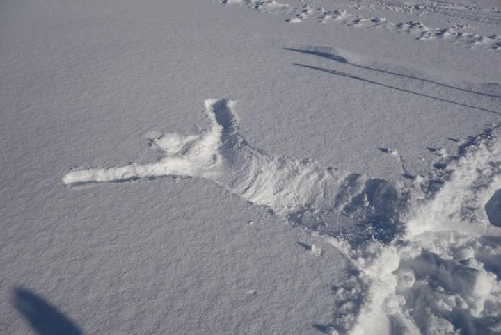ふかふかの雪にバフッとして人型を作りたい！　スノーシューで雪遊び