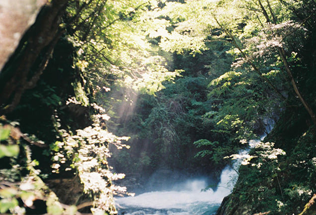 西沢渓谷の自然　滝