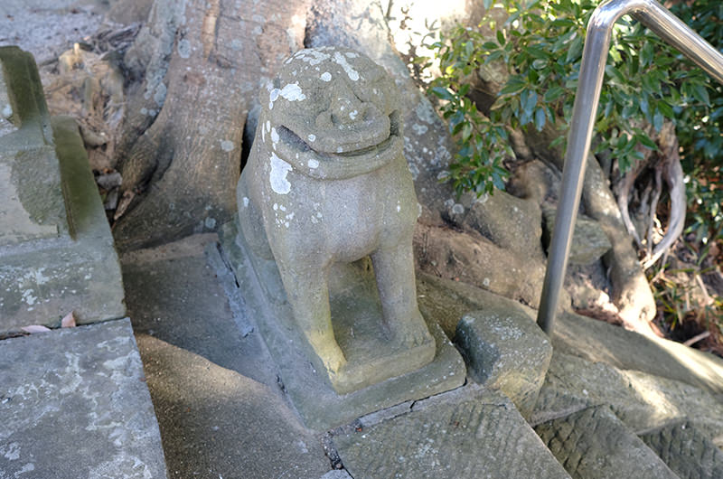 今、「狛犬めぐり」が密かなブーム⁉狛犬マニアが福島の神社を案内