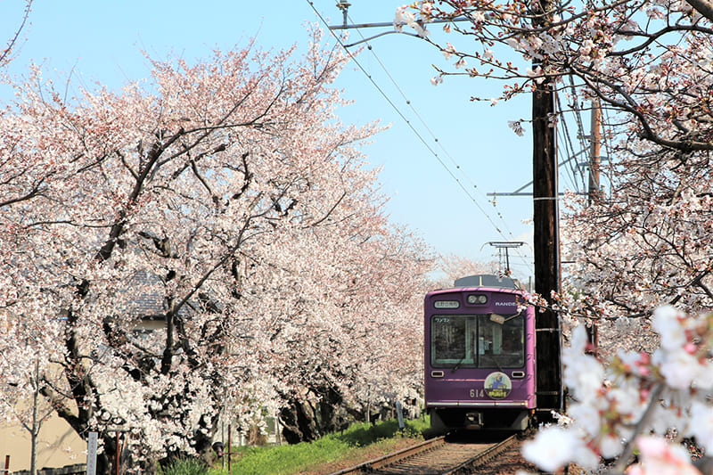 写真提供：京福電気鉄道