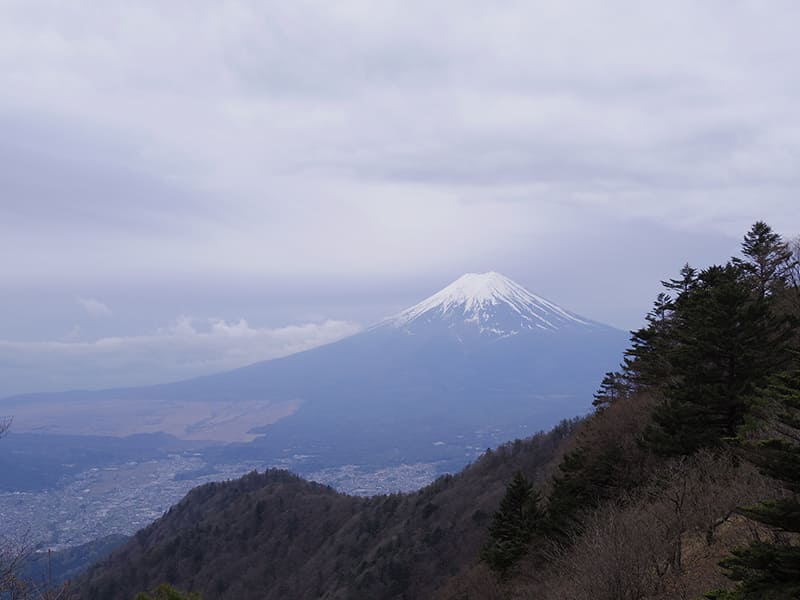 富士見荘跡の建物付近