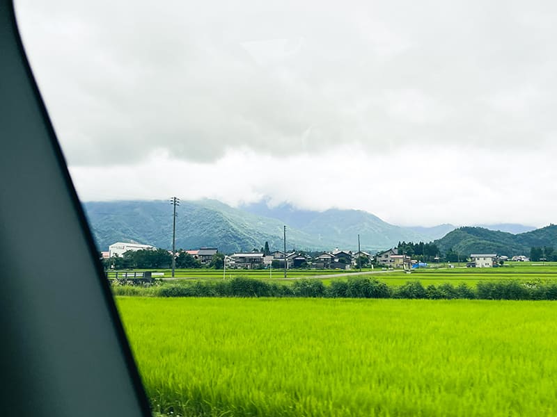 車窓の田園風景